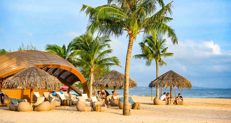 Entspannende Strandszene mit Palmen und Sonnenliegen.