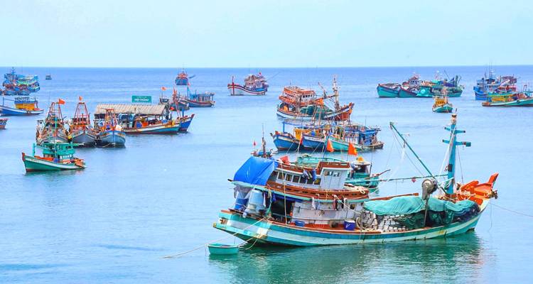 Fischerboote vor Anker auf ruhiger See.
