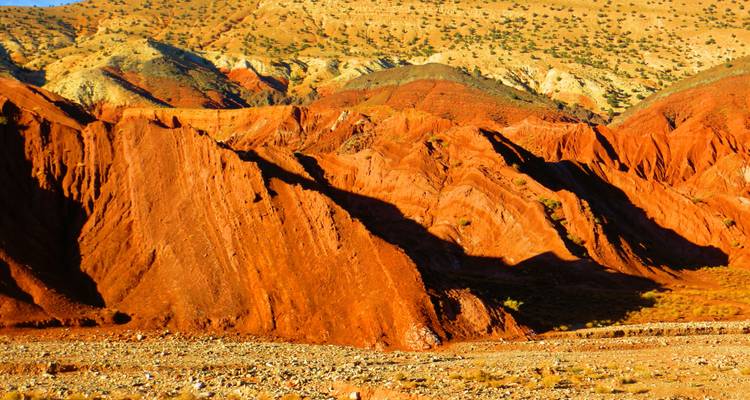 Lebendige Wüstenlandschaft mit roten Felsformationen.