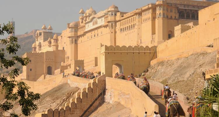 Elefantenritte steigen die Pfade von Amer Fort hinauf.