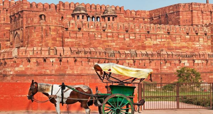 Agra-Fort mit einer Pferdekutsche im Vordergrund.