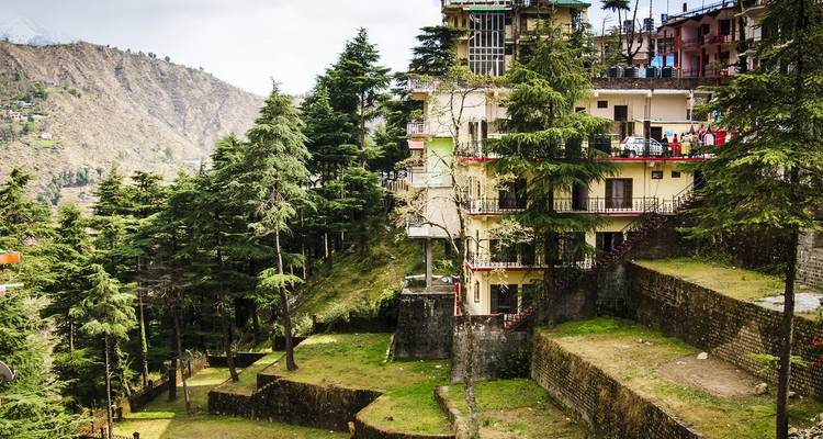 Gebäude, die sich an einem üppig grünen Berghang mit terrassenförmiger Landschaftsgestaltung befinden.