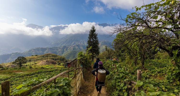 Trekker carrying a basket walks a dirt path through verdant farmland toward cloud-tipped mountains.