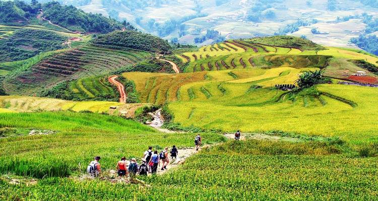 Group of hikers make their way along a trail through rolling terraced rice fields in the highlands.
