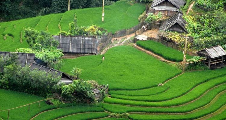 Rustic wooden houses nestle among bright green rice terraces in a mountainous village landscape.