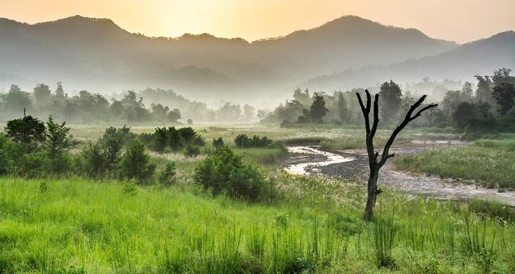 Neblige Bergtal bei Sonnenaufgang mit einem ruhigen Fluss.