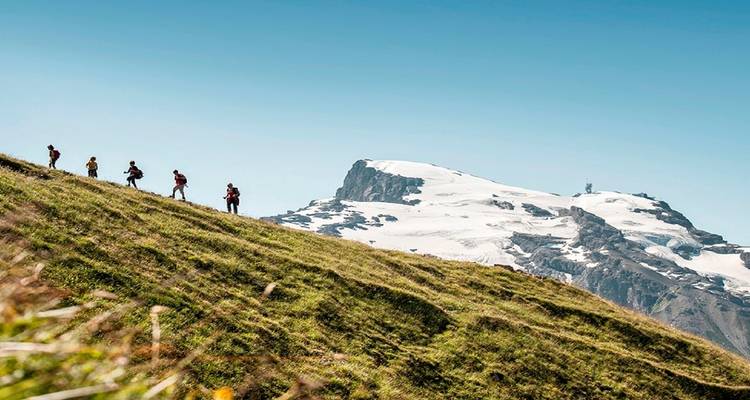 Wanderer auf einem grasbewachsenen Hang mit schneebedeckten Berggipfeln im Hintergrund.