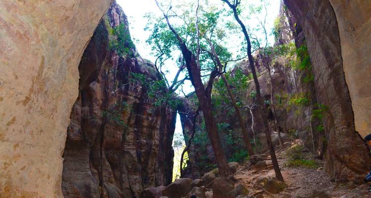 Bäume, die zwischen Felsformationen in einem Tal wachsen.