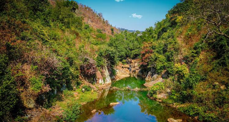 Small pond surrounded by lush greenery.
