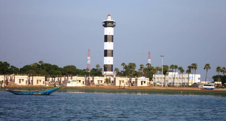 Ein Leuchtturm am Meer mit Bäumen und Gebäuden im Hintergrund.