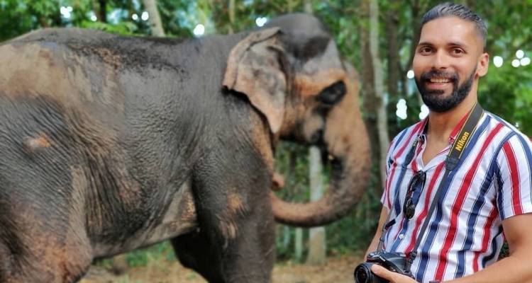 Person mit einer Kamera, die neben einem Elefanten in einem Wald steht.