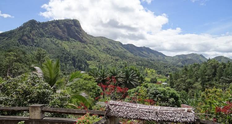 Scenic view of lush green mountains.