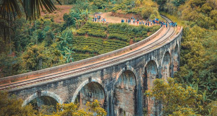 Pont ferroviaire en briques voûtées serpentant à travers des plantations de thé avec des groupes de touristes au sommet.