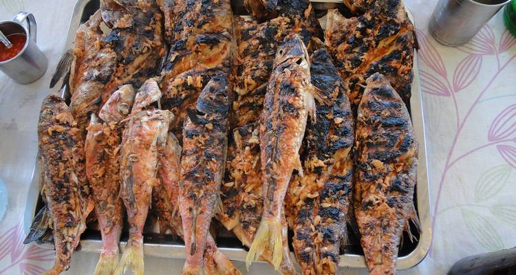 Tray of grilled fish with charred skin.