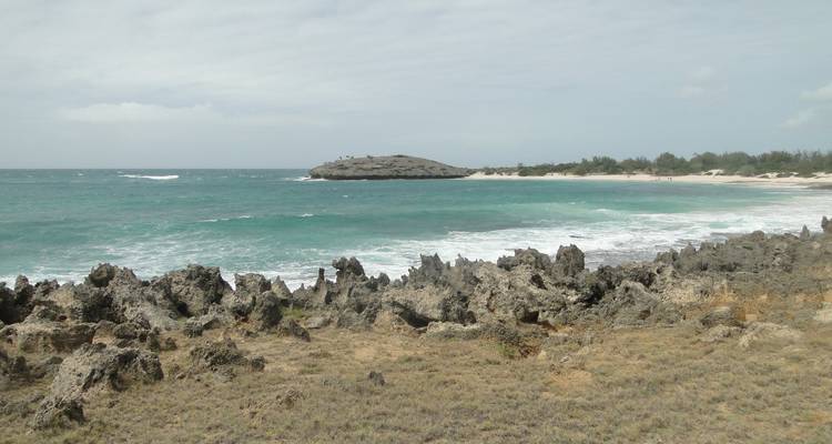 Rocky beach with waves crashing against the shore.