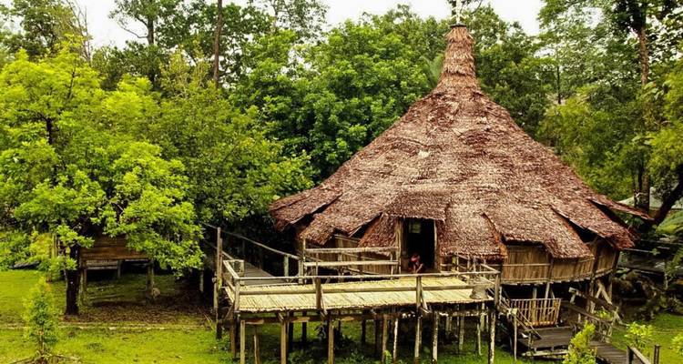 Traditional stilt house with a thatched roof in a lush green setting.