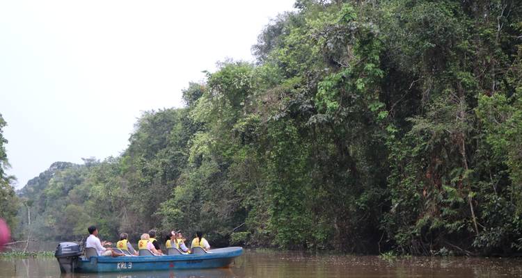 Los turistas en chalecos salvavidas amarillos descienden por un río marrón en una pequeña lancha motora azul, con la selva elevándose a su lado.