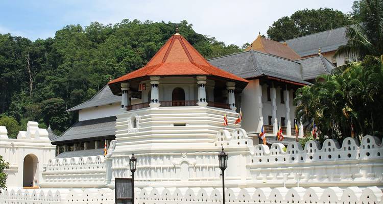 Temple of the Tooth with a red roof and white walls surrounded by greenery.