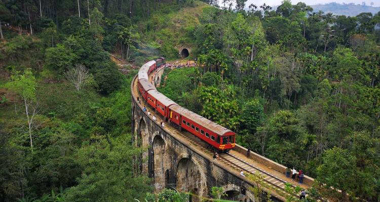 A train crossing a bridge surrounded by lush greenery.