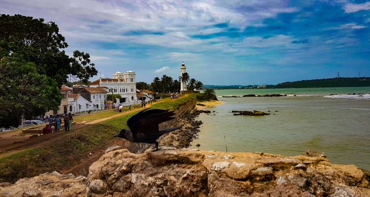 A coastline with a lighthouse, a bird in flight in the foreground.