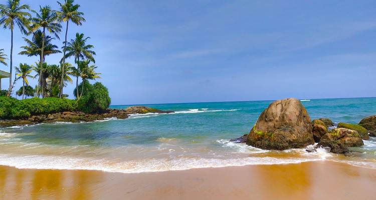 A tropical beach with palm trees and large rocks on the shore.