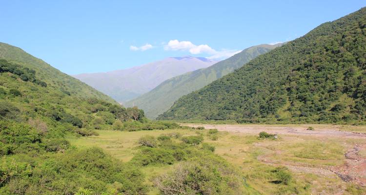 Een weelderige vallei omringd door groene bergen.