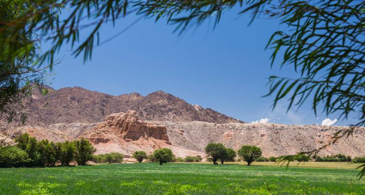 Landschap met een mesa, weelderige bomen en gewelfde rotsen bekeken door gebladerte.
