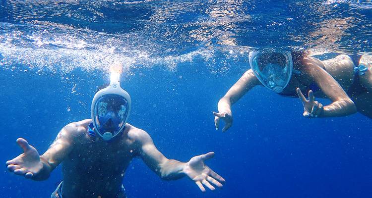 Zwei Personen beim Schnorcheln unter Wasser.