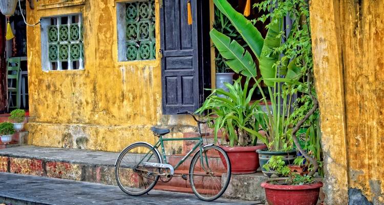 Un vélo classique appuyé contre un charmant mur jaune avec des plantes en pots.