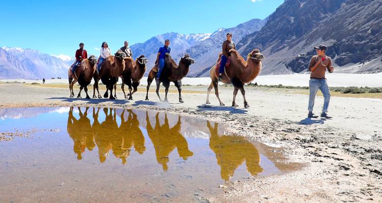 Touristen auf Kamelen spiegeln sich in einer Wasserpfütze mit Bergen im Hintergrund