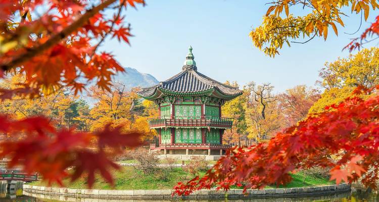 A vibrant autumn frame of red maple leaves surrounds Seoul’s petite, ornate Hyangwonjeong pavilion.