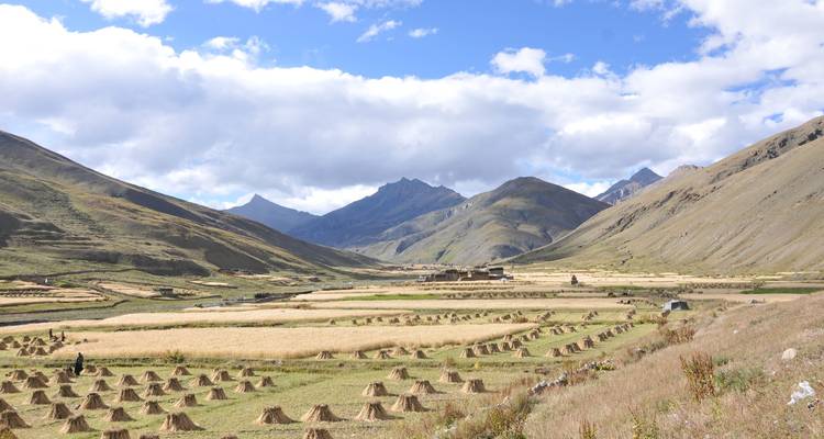 Terrassenfelder in einem Bergtal.