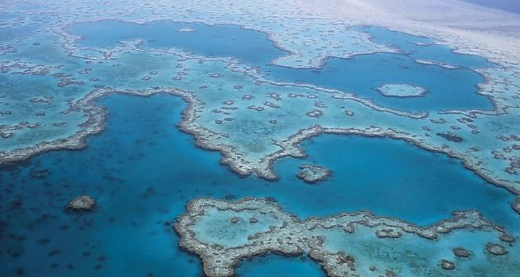 Aerial view of coral reefs with crystal-clear waters.