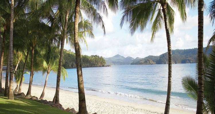 Tropical beach with palm trees and mountains in the distance.