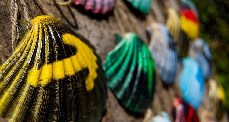 Felgeel geschilderde schelpen, het symbool van de Camino, hangen in een decoratief display.