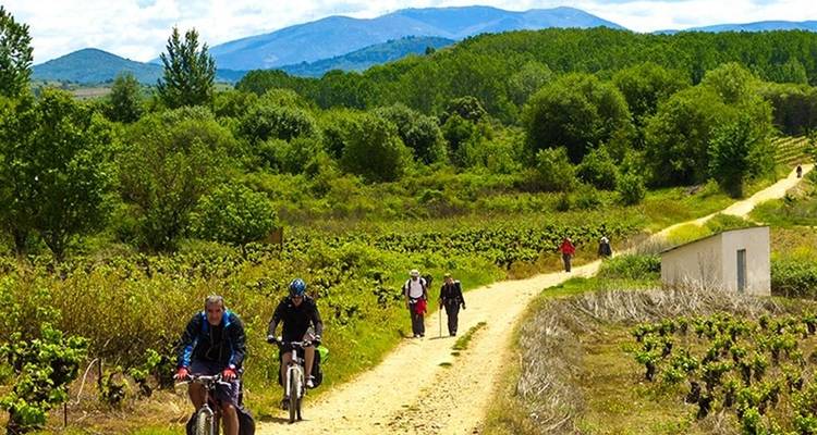 Fietsers en wandelaars delen een landelijk onverharde pad dat zich door wijngaarden slingert met bergen in de verte.