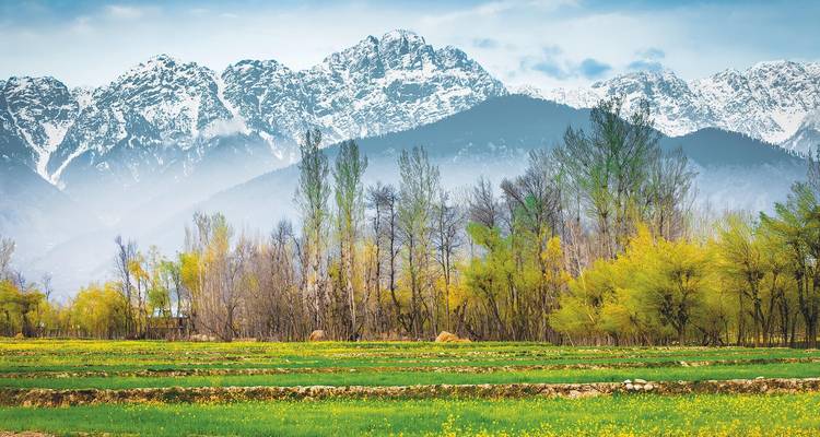 Malerische Aussicht auf ein üppiges Tal mit fernen schneebedeckten Bergen.