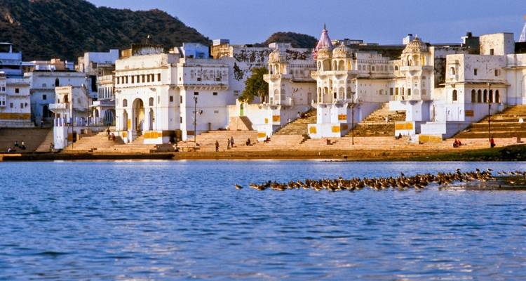 Paysage urbain au bord du lac avec des oiseaux qui nagent.