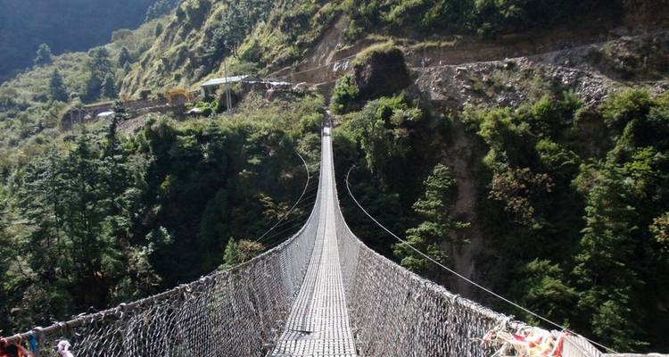 Suspension bridge in a forested gorge.