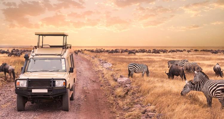 Safari-Fahrzeug mit Zebras und Gnus in einer Savanne bei Sonnenuntergang.