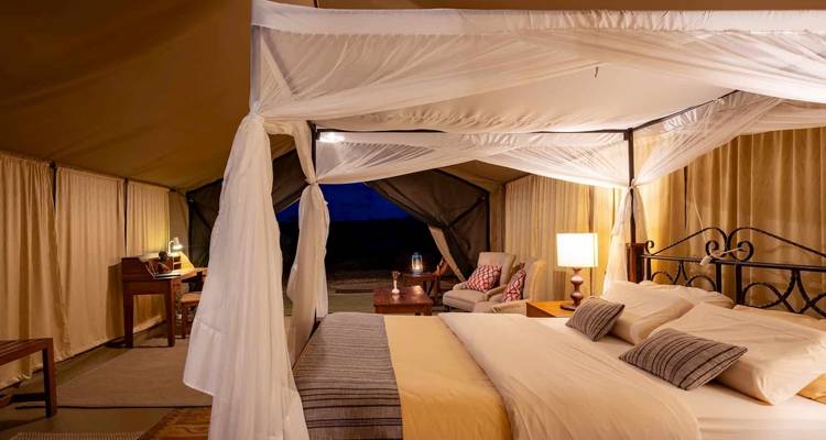 Luxuriöses Zeltinneres mit Bett und Einrichtung in einem Safari-Camp.