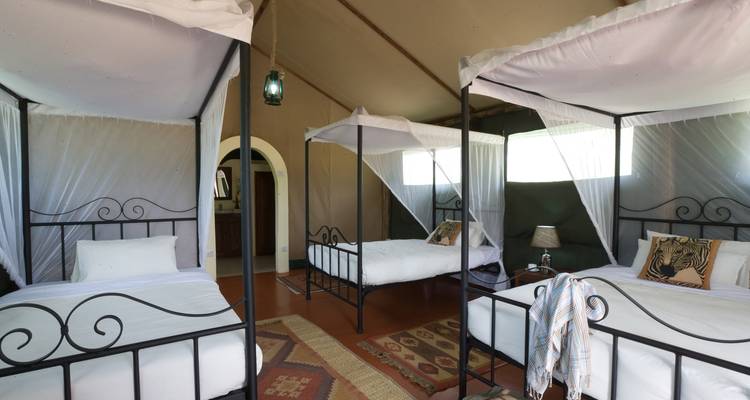 Zimmer mit mehreren Betten unter Moskitonetzen in einer Safari-Umgebung.