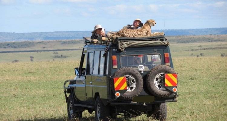 Safarifahrzeug mit Touristen, die einen Geparden beobachten, der auf dem Dach liegt.