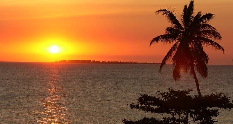 Game Parks and Gorillas - Acacia Adventure Holidays