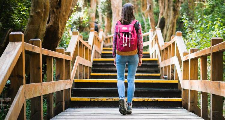 Personne marchant sur des escaliers en bois à travers une zone boisée.