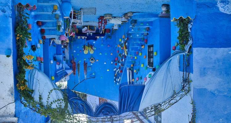 Cour bleue fantaisiste décorée de pots de fleurs colorés, de tapis et de marches.