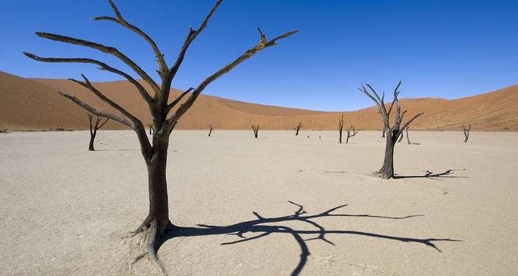 Kenya to Cape Town (from Nairobi to Cape Town) - Acacia Adventure Holidays