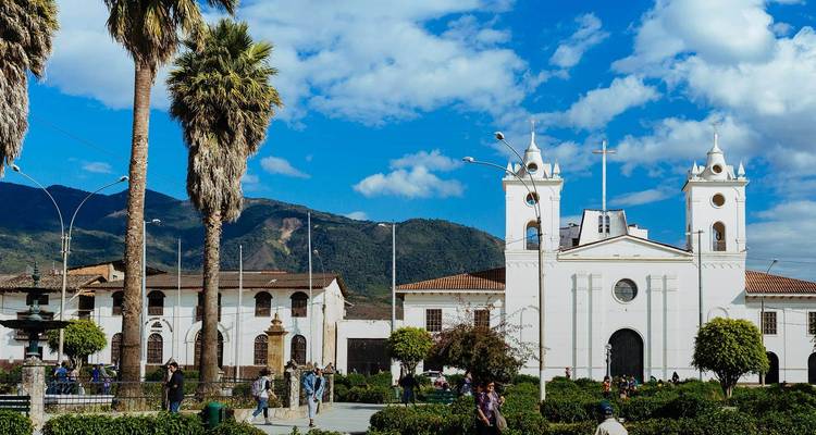 Öffentlicher Platz mit Bäumen und historischen Kirchengebäuden.