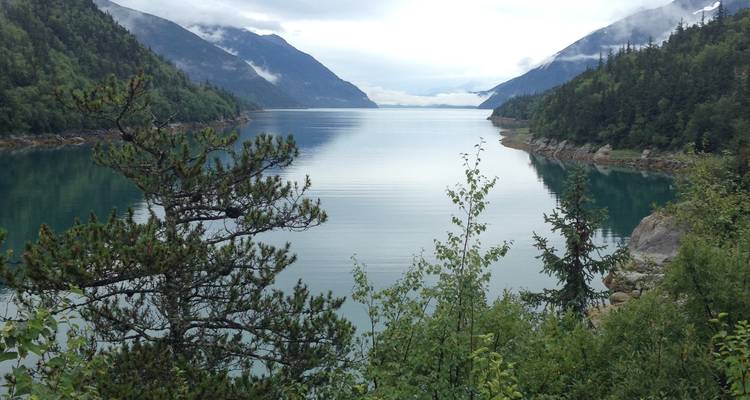 Ruhiger Fjord mit spiegelndem Wasser und bewaldeten Hängen unter bedecktem Himmel.