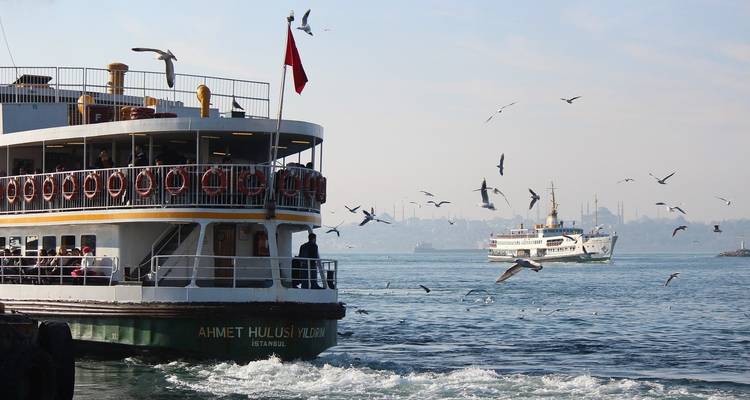 Fähre mit Möwen, die über ein Gewässer fliegen, und Stadtlandschaft im Hintergrund.
